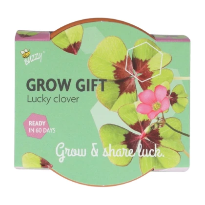 Buzzy Grow Gifts – Minisúprava na pestovanie štvorlístka - Pieterpik - 1 ks