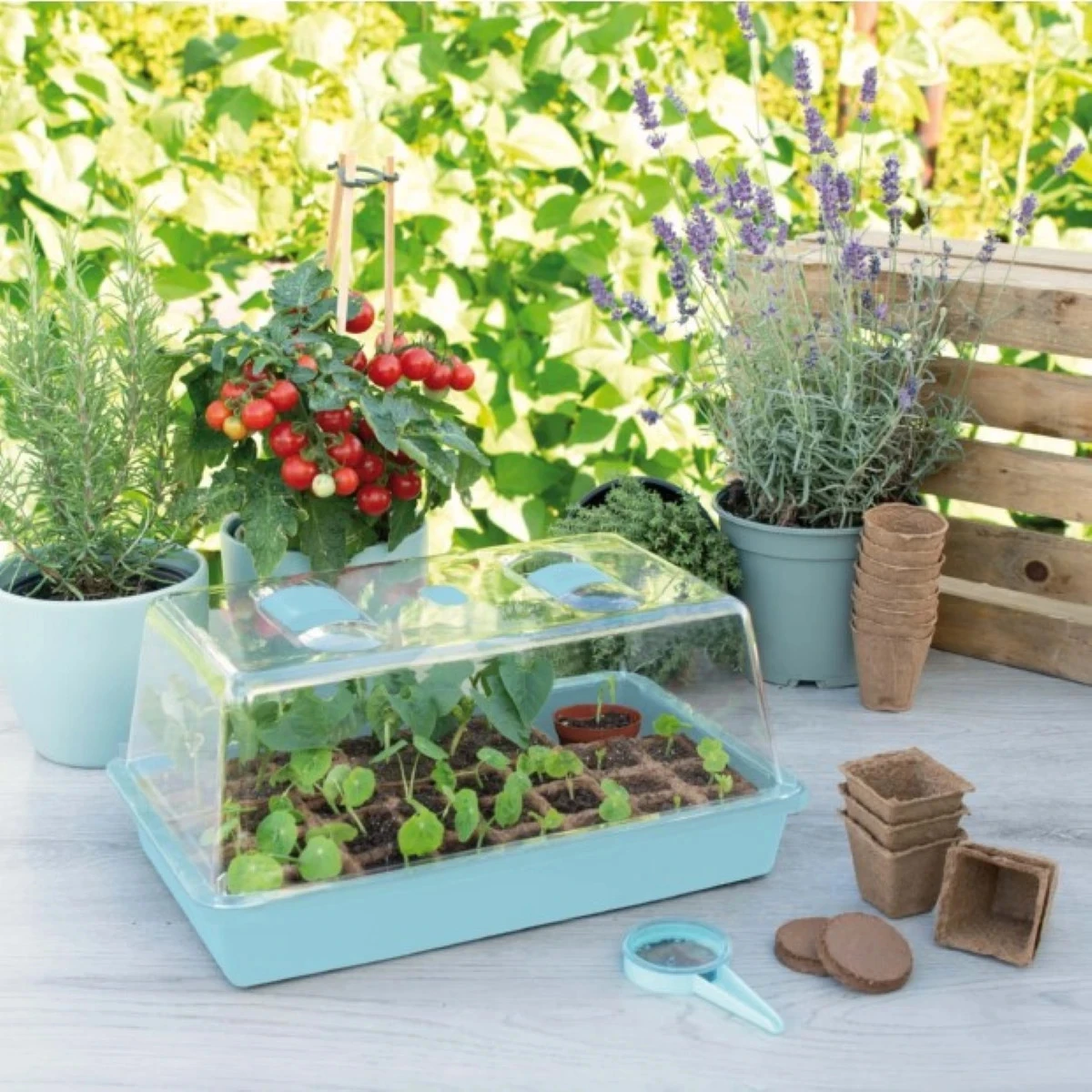 Miniskeník SOGO - 19 x 38 x 24 cm - 1 ks