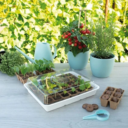 Miniskleník so sadbovačom SOGO – 8,5 x 32,5 x 26 cm – 1 ks