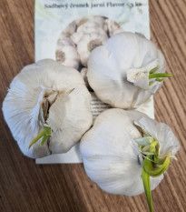Sadbový cesnak Flavor - Allium sativum - nepaličák - cibuľa cesnaku - 3 ks
