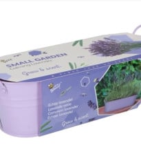 Buzzy – Minizáhradka Ukľudňujúca levanduľa – Pieterpik
