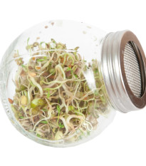 Buzzy - Bio klíčiace poháre Šalátový mix - Pieterpik - 1 ks