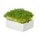 Štartovacia súprava BIO microgreen - Heimgart - súprava vrátane 2 plátov