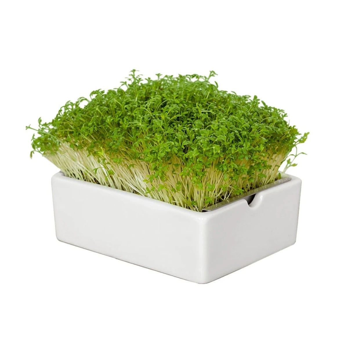 Štartovacia súprava BIO microgreen - Heimgart - súprava vrátane 2 plátov