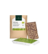 BIO microgreen Reďkovka Rambo - Heimgart - náhradné pláty - 1 ks