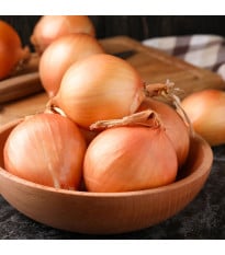 Cibuľa ozimná Augusta - Allium cepa - semená - 250 ks