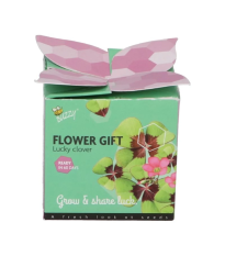 Buzzy Flower Gift - Minisada pre pestovanie štvorlístka - Pieterpik - 1 ks