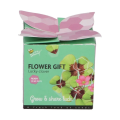 Buzzy Flower Gift - Minisada pre pestovanie štvorlístka - Pieterpik - 1 ks