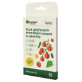 Polyversum - Bio prípravok proti plesňovým chorobám - AgroBio - ochrana rastlín - 5 g