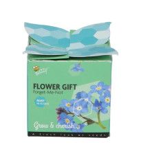 Buzzy Flower Gift - Minisada na pestovanie nezábudky - Pieterpik - 1 ks