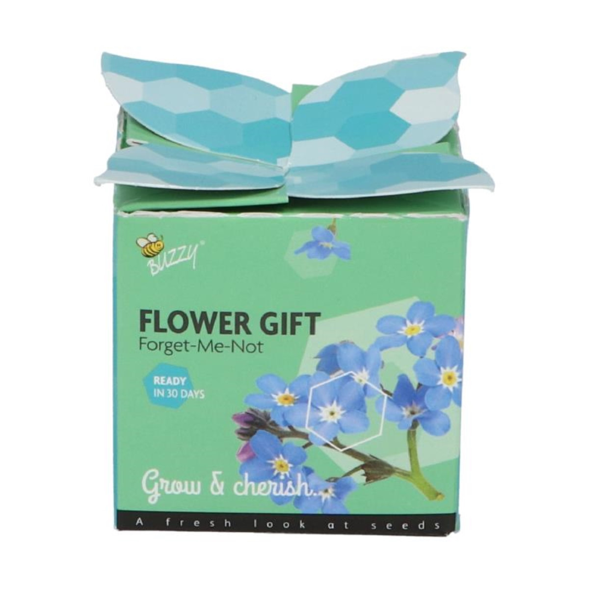 Buzzy Flower Gift - Minisada na pestovanie nezábudky - Pieterpik - 1 ks