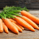 BIO Mrkva skorá Rothild - Daucus carota - bio semená mrkvy - 200 ks