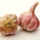 Sadbový cesnak Slavin II - Allium sativum - paličiak - 1 balenie