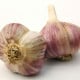 Sadbový cesnak Havran - Allium sativum - ozimný paličiak - 1 balenie