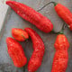 BIO Chilli Naga Jolokia – Capsicum chinense – bio semená