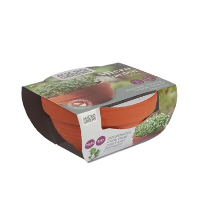 Kučeravý kel v terakotovej miske – Buzzy Microgreens – Pieterpik