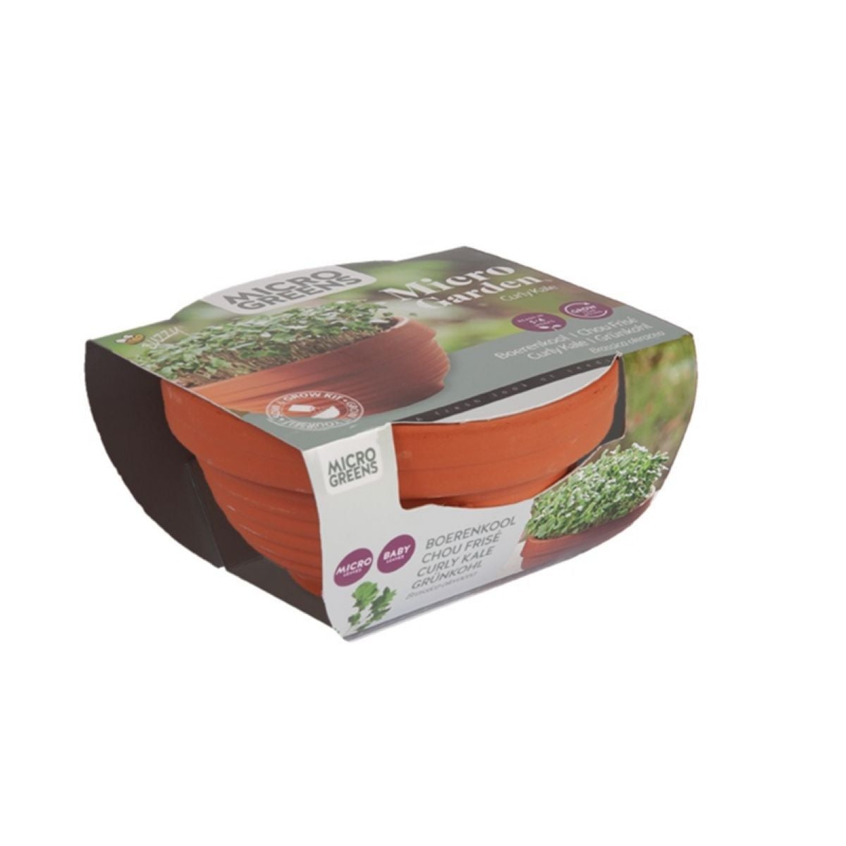 Kučeravý kel v terakotovej miske – Buzzy Microgreens – Pieterpik