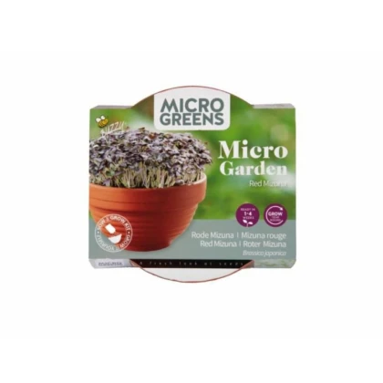 Červená mizuna v terakotovej miske – Buzzy – Pieterpik
