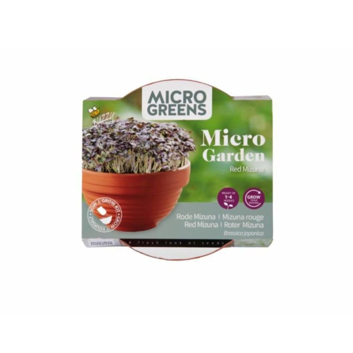 Červená mizuna v terakotovej miske – Buzzy – Pieterpik