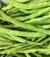 BIO fazuľa kríčková Maxi - Phaseolus vulgaris - bio semená fazule - 20 ks