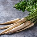 Paštrnák siaty Gladiator F1 - Pastinaca sativa - semená - 100 ks