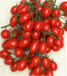 Paradajka- Rosalita- semiačká paradajky- 7 ks