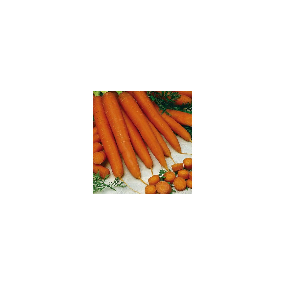 Mrkva ranná Gonsenheimer Treib - Daucus carota - semená mrkvy - 1 g