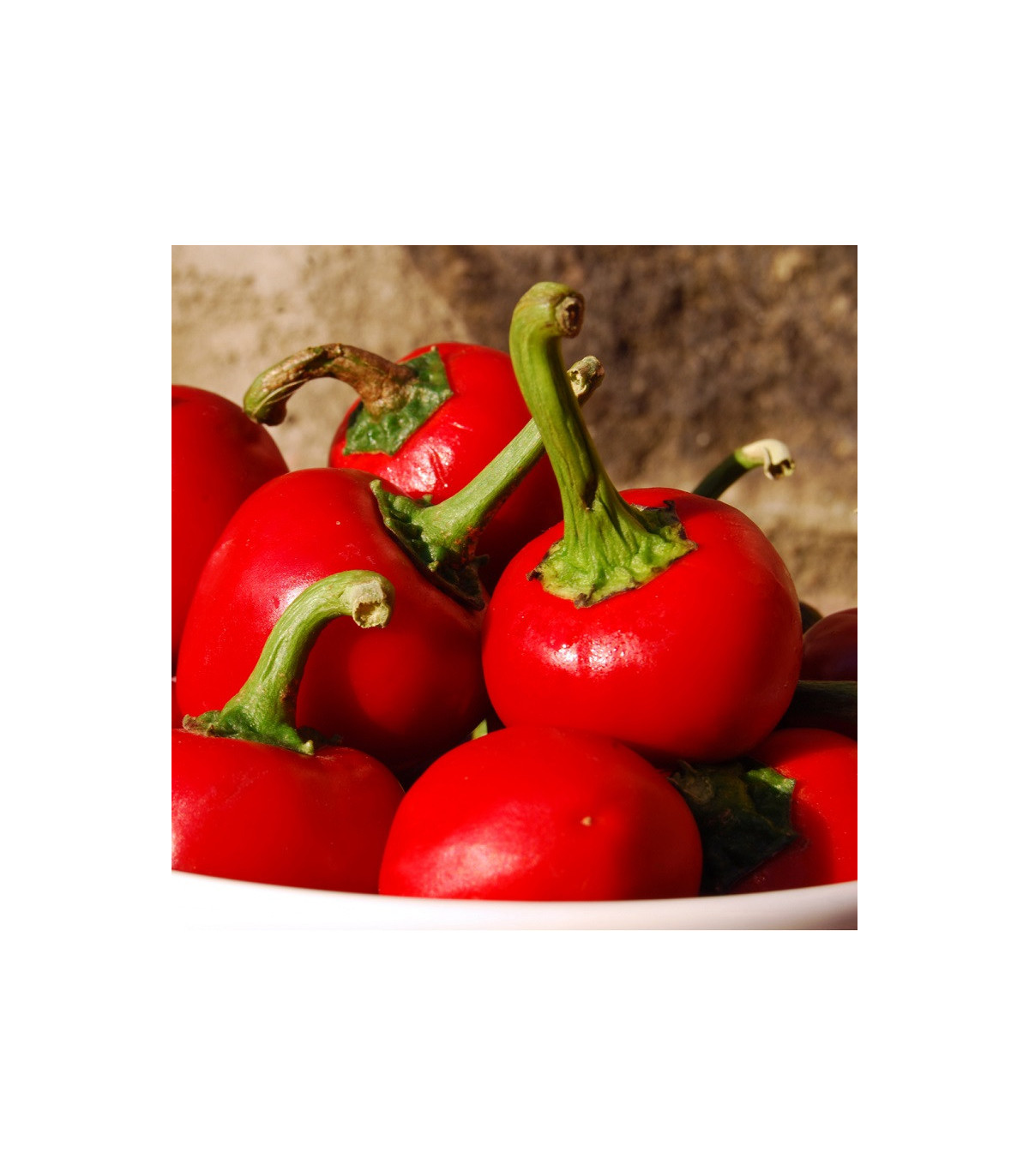 Chili- Bomba v raji- semená chili- 6ks