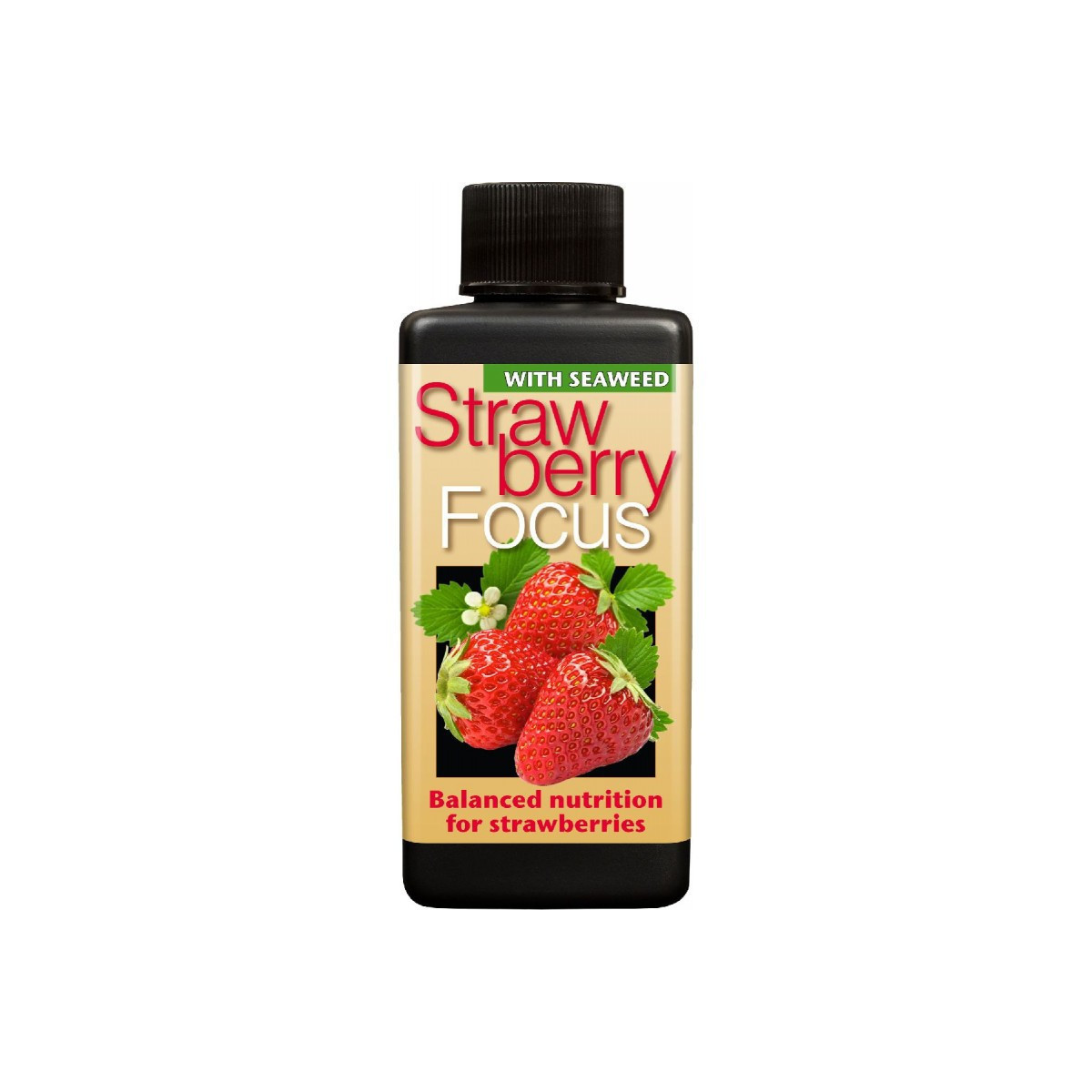 Hnojivo pre jahody - Focus - 300 ml