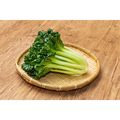 Pak Choi čínska kapusta Sagami - Brassica rapa var rosularis - semená - 150 ks