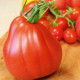 Paradajka Coure di Bue - Solanum lycopersicum - semená paradajky - 10 ks