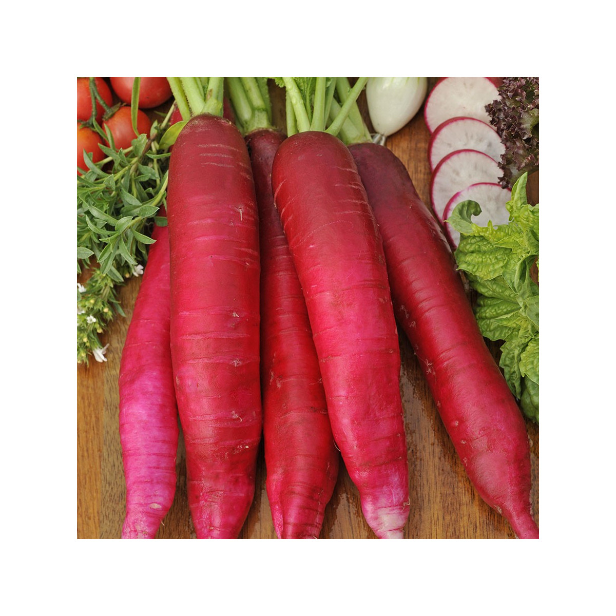 BIO Reďkev veľkonočná - Raphanus sativus - bio semená - 0,3 g