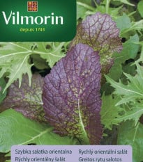 Rýchly orientálny šalát - semená - Vilmorin - 2 g