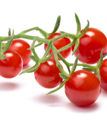 Divoké paradajky - Solanum pimpinellifolium - predaj semien divokých paradajok - 6 ks
