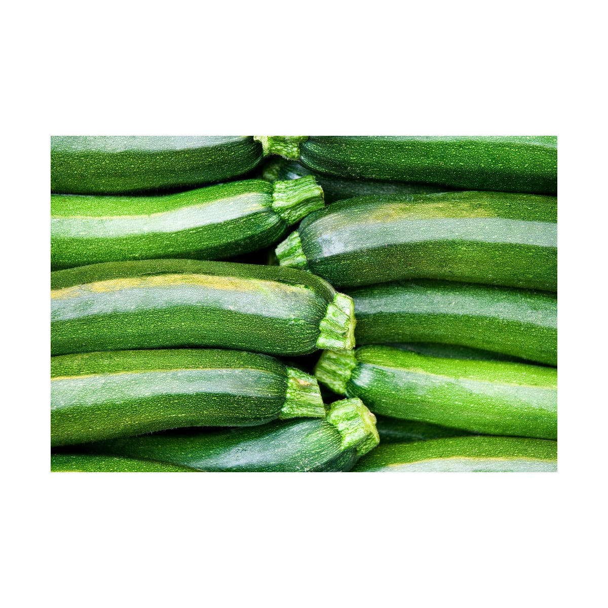 BIO Cuketa Partenón F1 - Cucurbita pepo - bio semená cukety - 5 ks