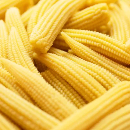Kukurica cukrová Minigold - Zea Mays - semená - 35 ks