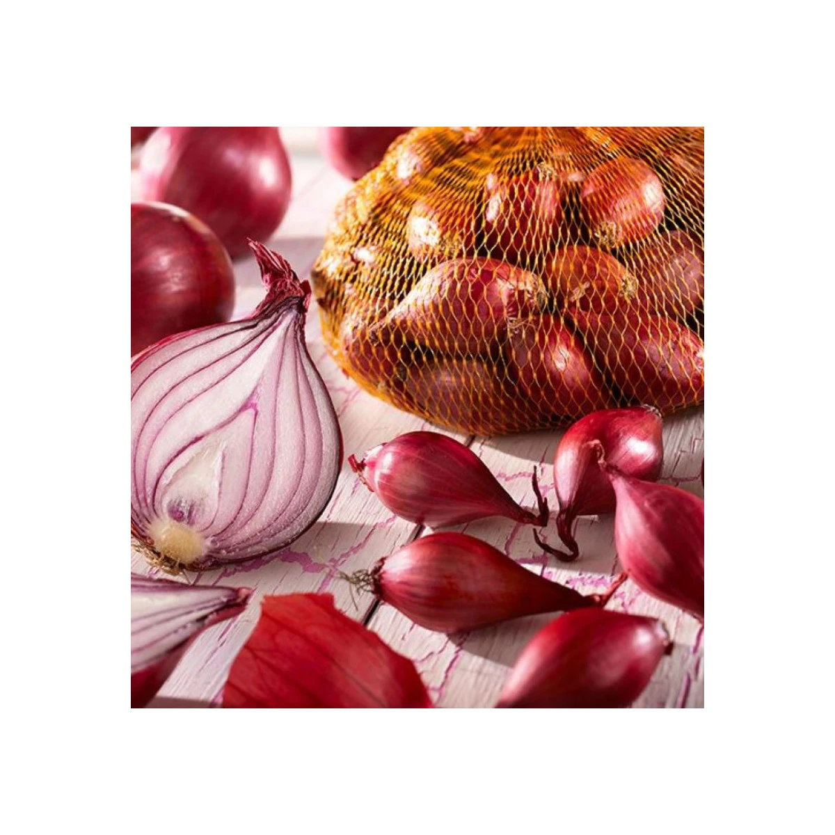 Cibuľka sadzačka červená jarná Rote - Allium cepa - cibuľky - 250 g