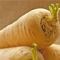 Paštrnák siaty - Pastinaca sativa - semená paštrnáku - 1 g