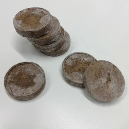 Veľké rašelinové zakoreňovače - veľ. 33 mm - Jiffy - 1 ks