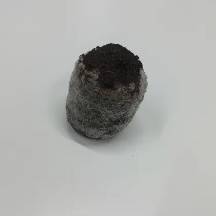 Veľké rašelinové zakoreňovače - veľ. 33 mm - Jiffy - 1 ks