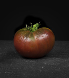 Paradajka- Čierný muž- semiačká paradajky- 6 ks