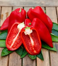 Paprika Snacking Red F1 - Capsicum annuum - semená papriky - 5 ks