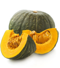 BIO Tekvica Zelené Hokkaido - Cucurbita maxima - bio semená tekvica - 7 ks