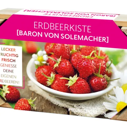 Pestovateľská sada na lesné jahody s dreveným kvetináčom - 1 ks