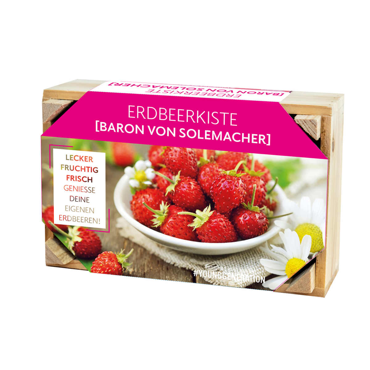 Pestovateľská sada na lesné jahody s dreveným kvetináčom - 1 ks