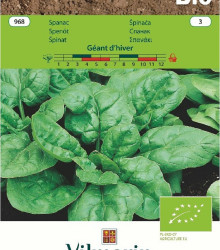 BIO špenát Geant d'hiver - Spinacia oleracea - bio semená špenátu - 10 g