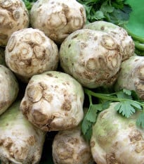 Zeler buľvový Albin - Apium graveolens - semená zelera - 0,5 g