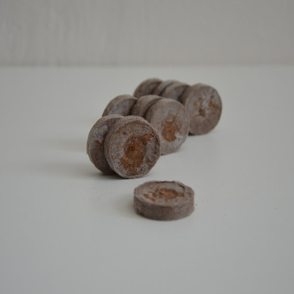 Rašelinové zakoreňovače - Jiffy tablety - 33 mm - 10 ks