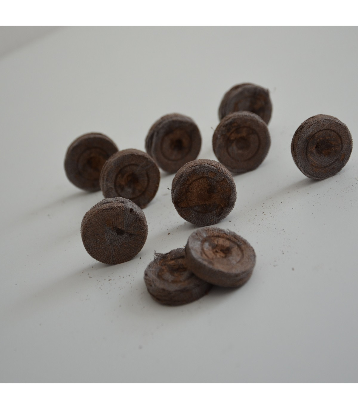 Rašelinové zakoreňovače - Jiffy tablety - 25 mm - 10 ks