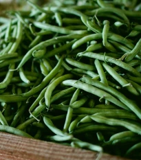 Fazuľa kríčková Negra - Phaseolus vulgaris - semená fazule - 10 ks